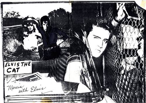 Poster - Marcia with Elvis
