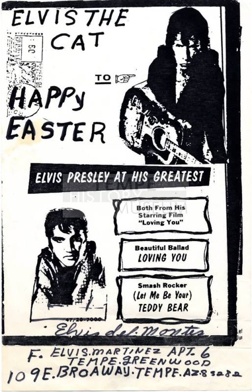 Elvis the Cat postcard poster