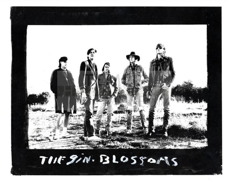 Gin Blossoms poster