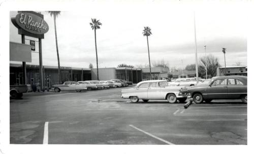 Pioneer Camera, Tempe Center with its Palm Tree