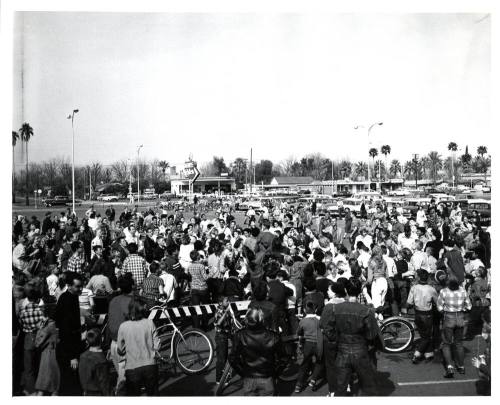 Tempe Center - Parking Lot Crowd