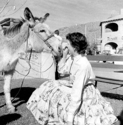 Laird & Dines Area - Patricia Wood in Western Wear with Burro