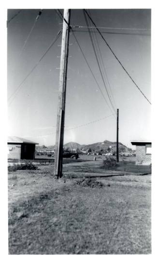 Bill Wood's Backyard View - B/W Photograph