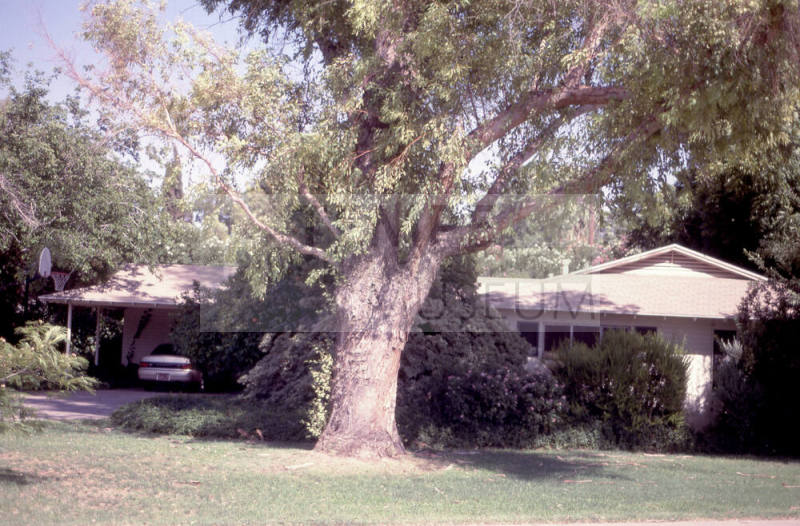 Property Address:  2005 South La Corta Drive, Tempe, Arizona
Subdivision Address:  Broadmor Manor