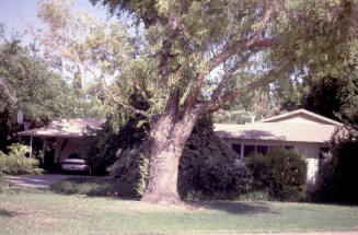 Property Address:  2005 South La Corta Drive, Tempe, Arizona
Subdivision Address:  Broadmor Manor