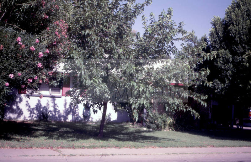 Property Address:  2015 South El Camino Drive, Tempe, Arizona
Subdivision Address:  Broadmor Manor