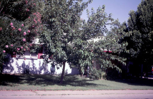 Property Address:  2015 South El Camino Drive, Tempe, Arizona
Subdivision Address:  Broadmor Manor