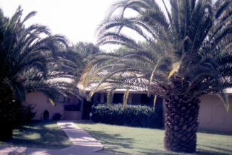 Property Address:  232 East Broadmor Drive, Tempe, Arizona
Subdivision Address:  Broadmor Manor