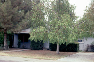 Property Address:  706 West 9th Street, Tempe, Arizona
Subdivision Address:  Mitchells 3rd