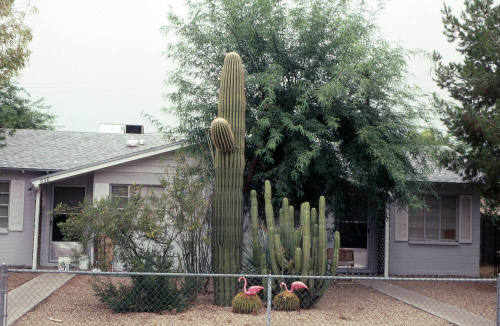 Property Address:  836 West 9th Street, Tempe, Arizona
Subdivision Address:  Laird Estates
