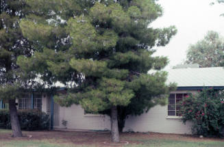 Property Address:  808 West 9th Street, Tempe, Arizona
Subdivision Address:  Laird Estates