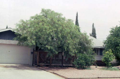 Property Address:  224 East Fairmont Drive, Tempe, Arizona
Subdivision Address:  Nu-Vista