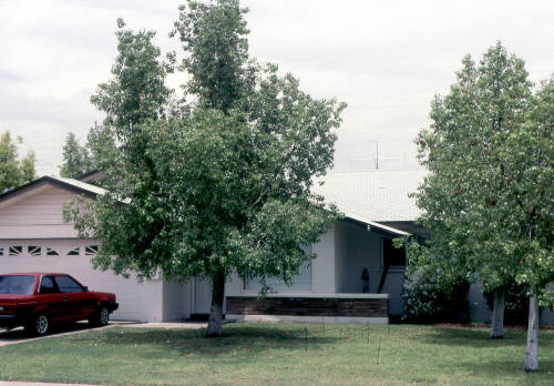 Property Address:  216 East Del Rio Drive, Tempe, Arizona
Subdivision Address:  Nu-Vista