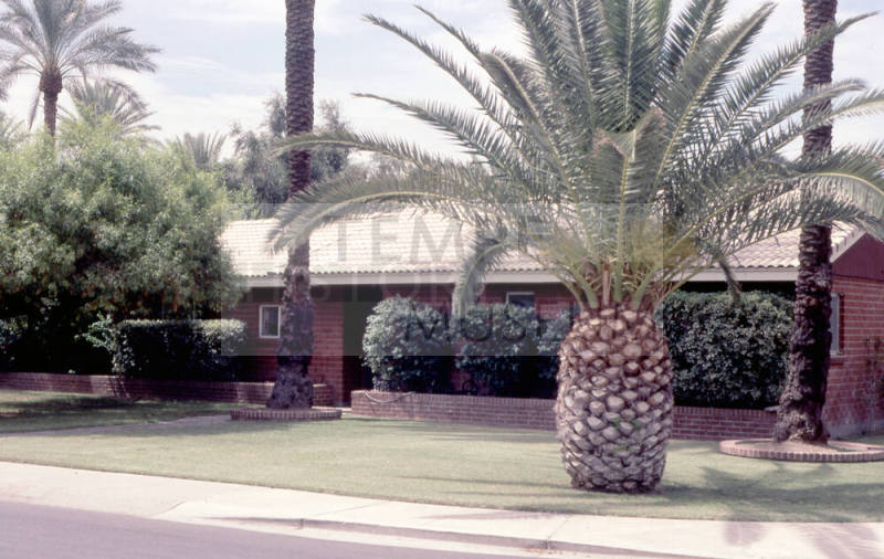 Property Address:  102 West Palmcroft Drive, Tempe, Arizona
Subdivision Address:  Date Palm Manor