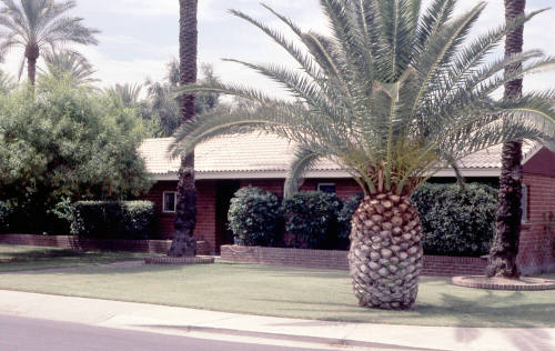 Property Address:  102 West Palmcroft Drive, Tempe, Arizona
Subdivision Address:  Date Palm Manor