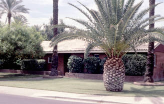 Property Address:  102 West Palmcroft Drive, Tempe, Arizona
Subdivision Address:  Date Palm Manor