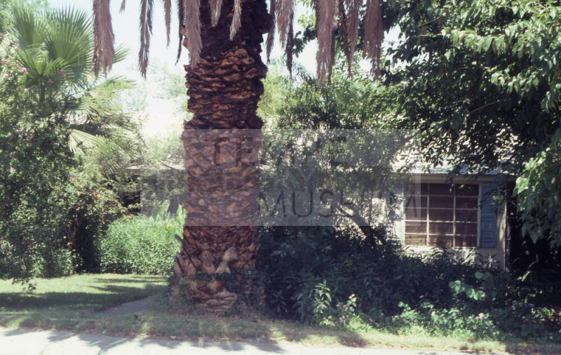 Property Address:  114 East 15th Street, Tempe, Arizona
Subdivision Address:  University Park