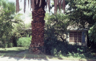 Property Address:  114 East 15th Street, Tempe, Arizona
Subdivision Address:  University Park