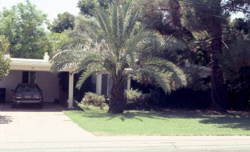 Property Address:  43 East 15th Street, Tempe, Arizona
Subdivision Address:  University Park