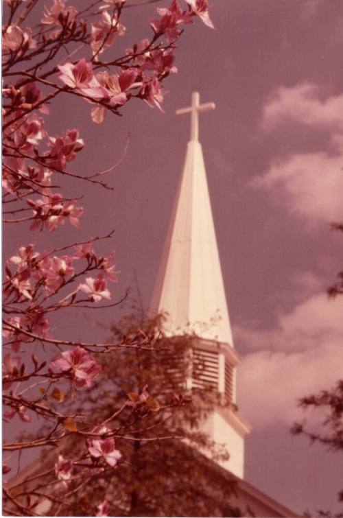Photograph of the Steeple of the First Congregational Church of Tempe
