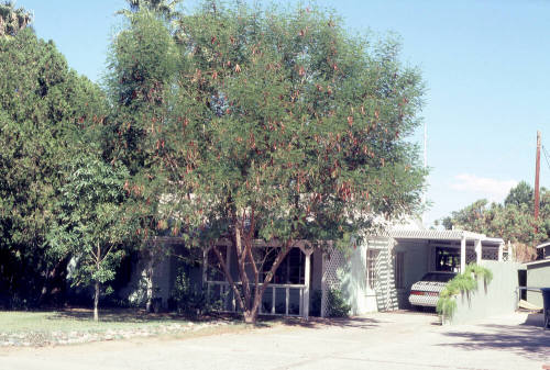 Property Address:  1225 South Wilson Street, Tempe, Arizona
Subdivision Address:  State College Homes