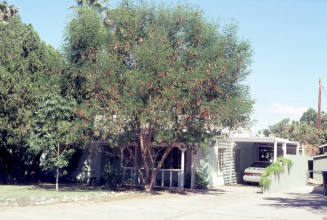 Property Address:  1225 South Wilson Street, Tempe, Arizona
Subdivision Address:  State College Homes
