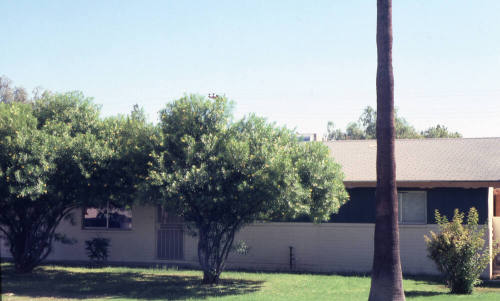 Property Address:  115 East Huntington Drive, Tempe, Arizona
Subdivision Address:  Nu-Vista