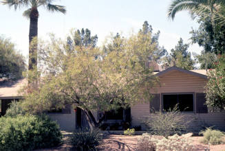 Property Address:  1420 North Gene Avenue, Tempe, Arizona
Subdivision Address:  Cavalier Hills