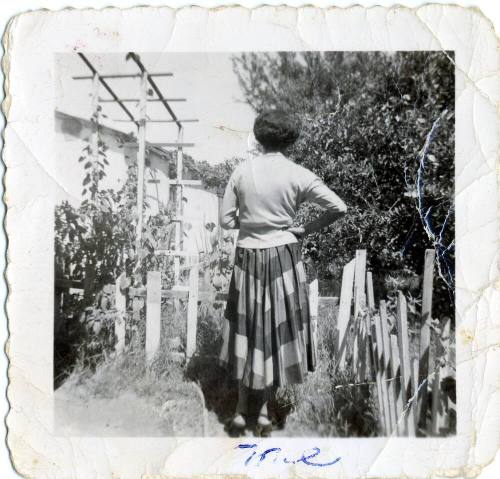 Marcie by a tree and a trellis