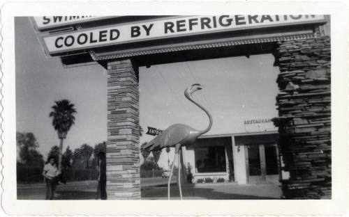 Annie Gomez at motel with flamingo on Van Buren Street, Phoenix