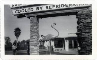 Annie Gomez at motel with flamingo on Van Buren Street, Phoenix