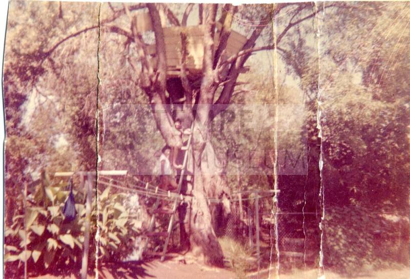 Elias Rodriguez Tree House