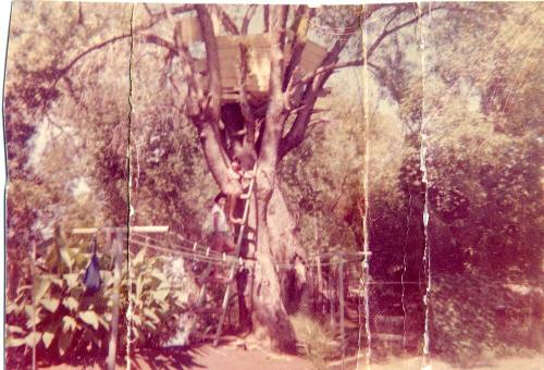 Elias Rodriguez Tree House