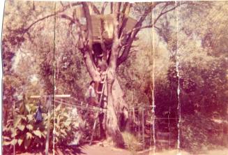 Elias Rodriguez Tree House