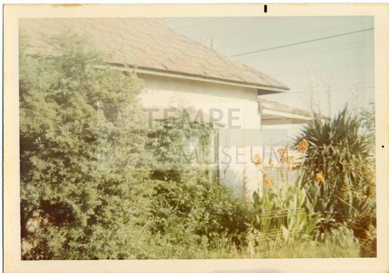 Elias Rodriguez House Covered with Foliage