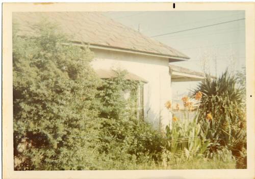 Elias Rodriguez House Covered with Foliage