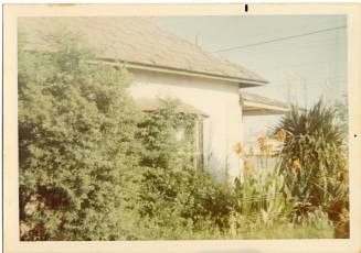 Elias Rodriguez House Covered with Foliage