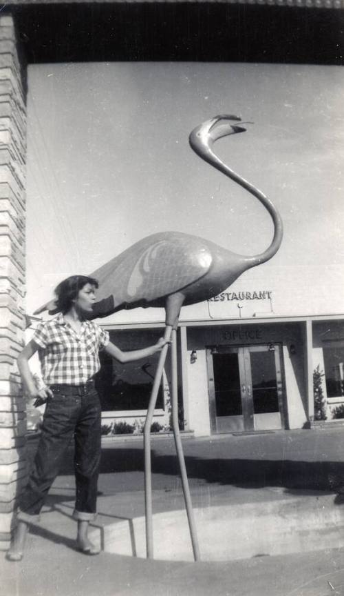 Marcie and flamingo on Phoenix walk