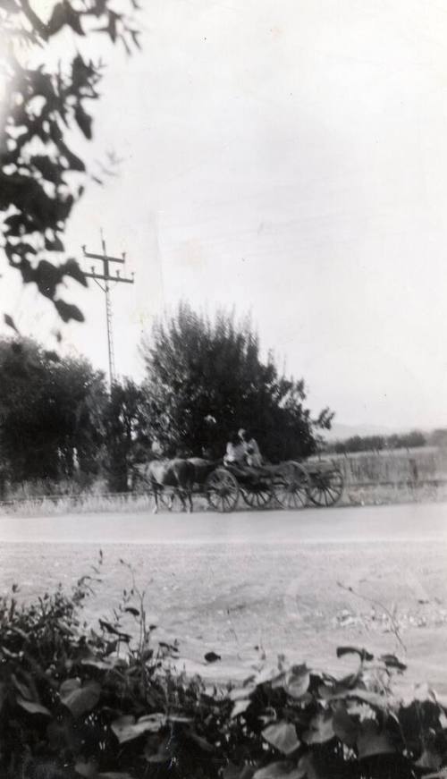 Indian Wagon on 8th Street near Rural Road