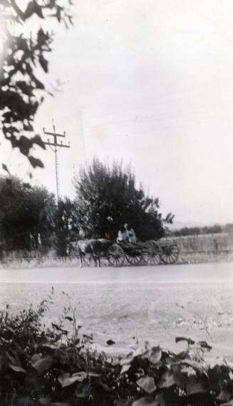 Indian Wagon on 8th Street near Rural Road