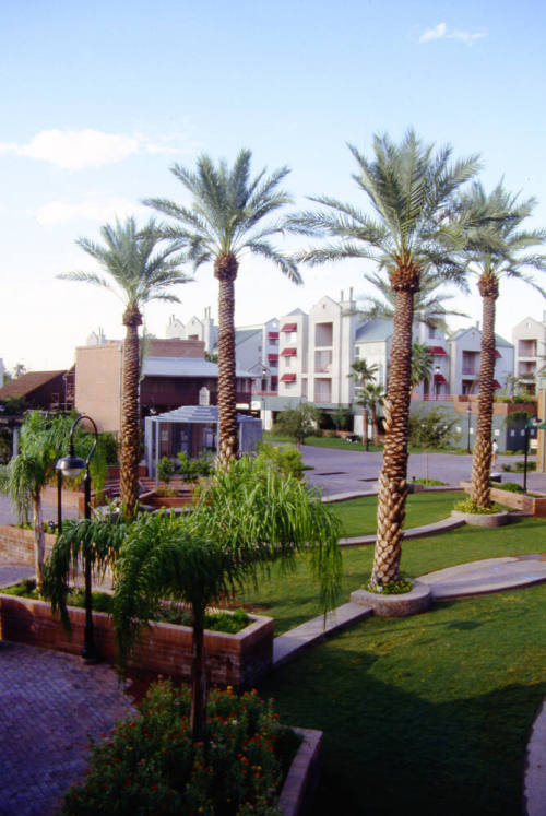 Hayden Square, 398 S. Mill Ave.