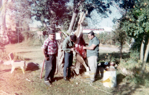Hunters with hanging deer at Elias-Rodriguez house