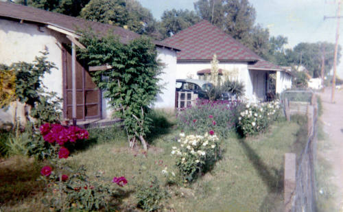 Aunt Irene's Tempe House