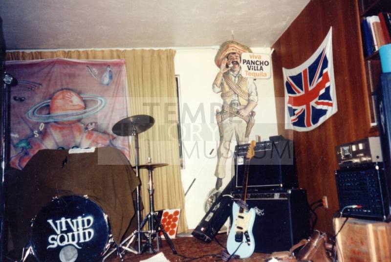 Vivid Squid Band Set