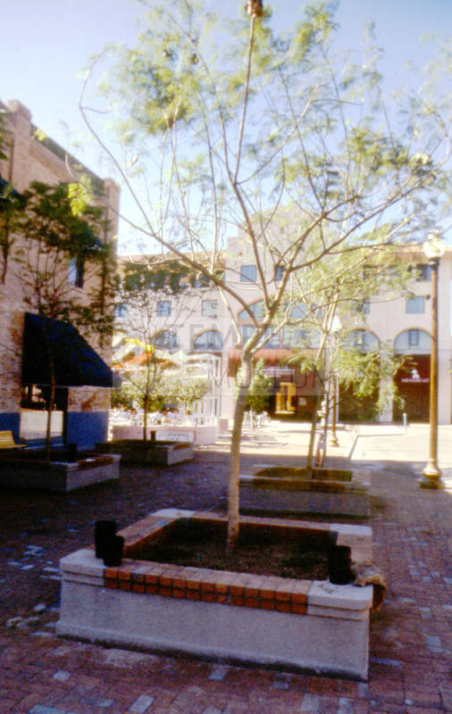 Mill Ave. Streetscape - planter