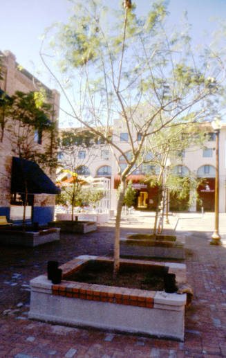 Mill Ave. Streetscape - planter