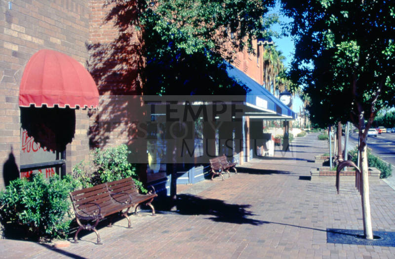 Mill Ave. landscaping