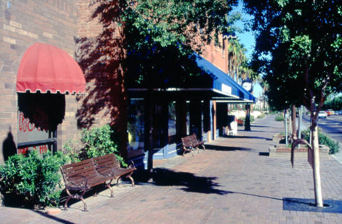 Mill Ave. landscaping