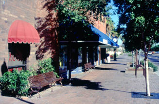 Mill Ave. landscaping