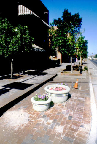 Mill Ave. Streetscape - flower pots